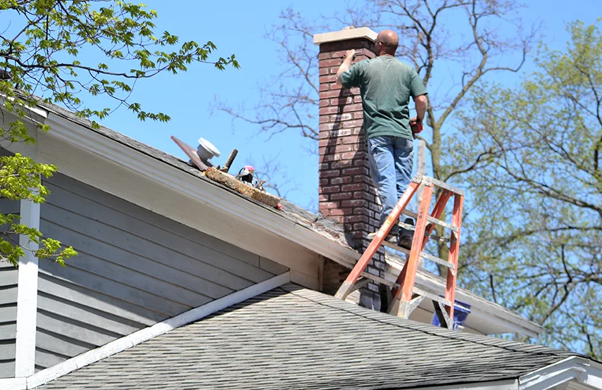 Chimney & Fireplace Inspections Services in Myrtle Beach, SC